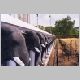 0352 Anuradhapura Elefants.jpg